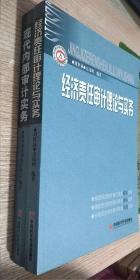 经济责任审计理论与实务 与 现代内部审计实务   两本合售