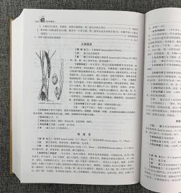 辽宁中药志.植物类