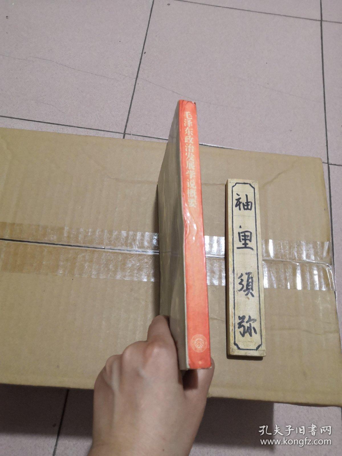 毛泽东政治发展学说概要