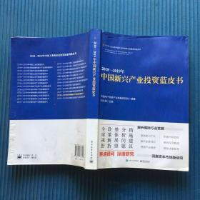 2018―2019年中国新兴产业投资蓝皮书