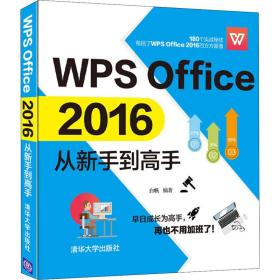 WPS Office 2016从新手到高手