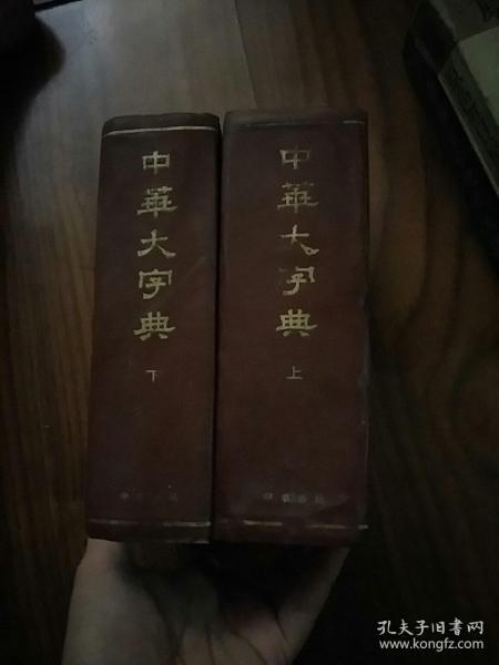 中华大字典（缩印本全二册） 上下  有虫眼
