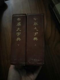 中华大字典（缩印本全二册） 上下  有虫眼