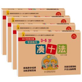 幼小衔接必备专项练习共4册幼小衔接过关冲刺100分逻辑思维训练3-6岁儿童学习与发展