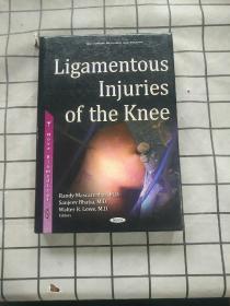 Ligamentous Injuries of the Knee 进口原版现货