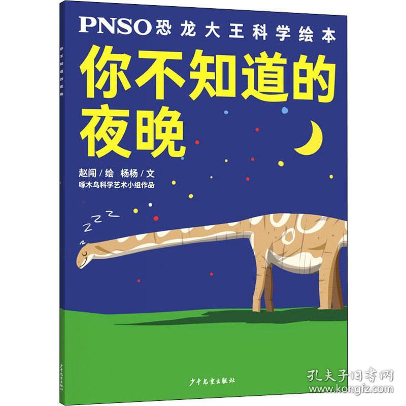 PNSO恐龙大王科学绘本：你不知道的夜晚【彩绘】