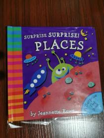 SURPRISE SURPRISE PLACES BY JEANNETTE ROWE 儿童读物 英文版