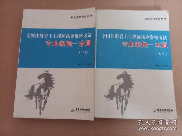 全国注册岩土工程师执业资格考试 : 专业案例一本通(上下册)