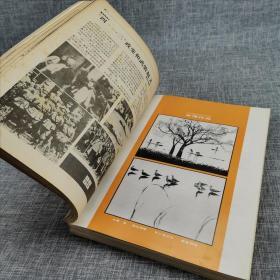 大众摄影（1988年1-11期合订本）