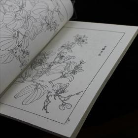 百花谱