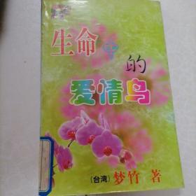 生命中的爱情鸟