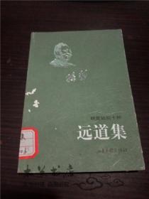 耕堂劫后十种 远道集 孙犁 / 山东画报出版社 1999年1版 小32开平装