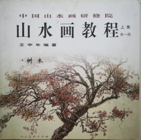 山水画教程上集王中年画册山水树木教学