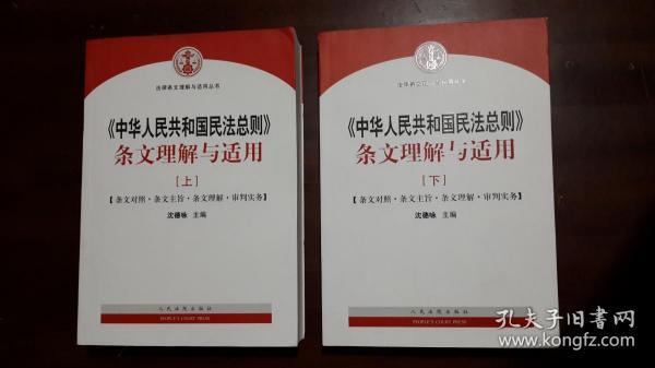 《中华人民共和国民法总则 条文理解与适用》【上下两册全】（16开平装 两厚册1336页）九五品 近全新