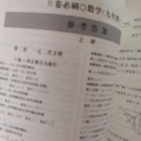 B卷必刷数学九年级全一册