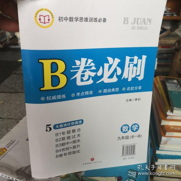 B卷必刷数学九年级全一册