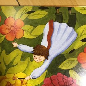 纳纳波的彩虹
