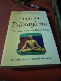 Light on Pranayama：The Yogic Art of Breathing