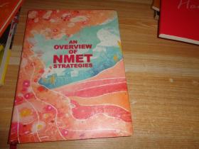 AN OVERVIEW OF NMET STRATEGIES