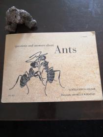 ANTS