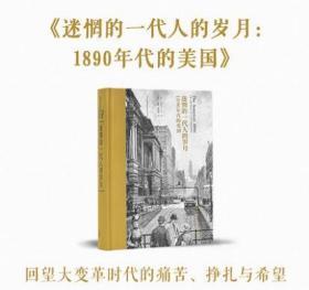 迷惘的一代人的岁月：1890年代的美国