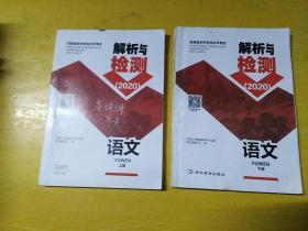 河南省初中学业水平考试解析与检测(2020） 语文上、下册