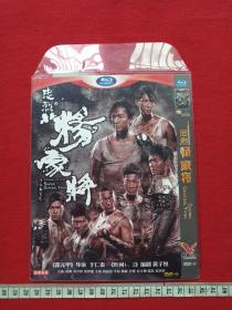 DVD-9光碟、影碟、光盘1碟片1袋装：国粤双语《忠烈杨家将》2013年（黄子桓编剧、于仁泰执导，郑少秋、徐帆、郑伊健、于波、周渝民、李晨、林峯、吴尊、付辛博主演，吉林文化音像出版社，神雕影视，附宣传册页）