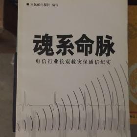 魂系命脉:电信行业抗震救灾保通信纪实