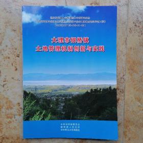 大理市银桥镇土地管理机制创新与实践