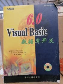 Visual Basic 6.0数据库开发
