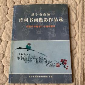 遂宁市政协诗词书画摄影作品选