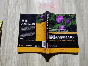 精通AngularJB