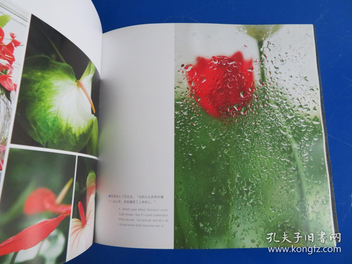 花之语 第五届 聚焦上海鲜花港 摄影大赛作品选