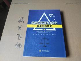 刑法解释理论与实务重要问题研究