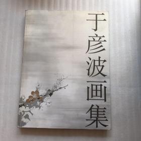 于彦波画集