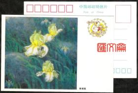 不多见首发系列-1992年有奖明信片-兑奖【花卉-黄鸢（yuan)尾】中国邮政明信片，全新品