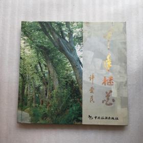 千年檵花