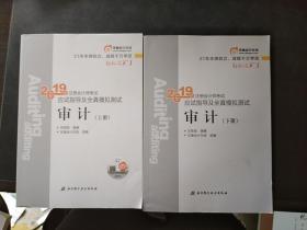 2019年注册会计师考试应试指导及全真模拟测试 审计（上下册）