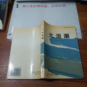 大浪潮    平装  32开