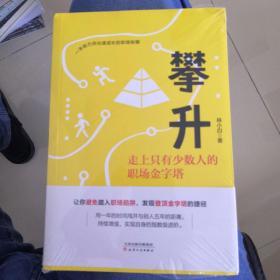 攀升：走上只有少数人的职场金字塔（砍柴书院创始人李砍柴倾力推荐）