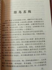 海上桂林-作者杨木先生 签名拎印本