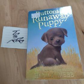 英@Buttons the Runaway Puppy (Holly Webb Animal Stories)