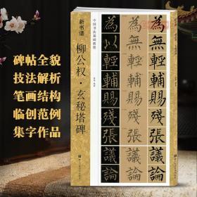 学海轩 柳公权玄秘塔碑 新书谱 中国书法基础教程 柳体楷书毛笔字帖书籍书法临摹练古帖 碑帖特点技法讲解笔画 浙江人民美术出版社