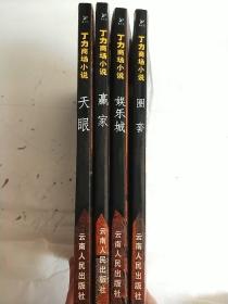 丁力商场小说（ 娱乐城、赢家、天眼、圈套）4本合售