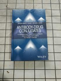 Antibody-Drug Conjugates 进口原版现货