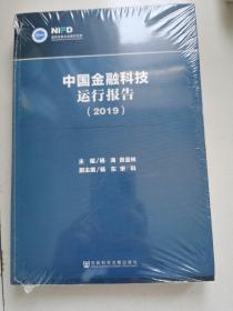 中国金融科技运行报告（2019）