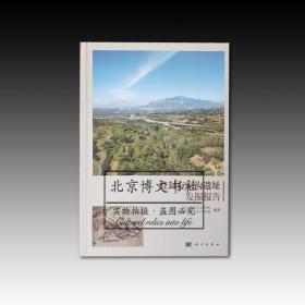 登封方家沟遗址发掘报告  全新原塑封