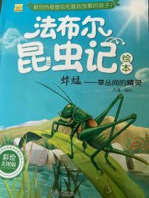 法布尔昆虫日记全十册绘本，95新
