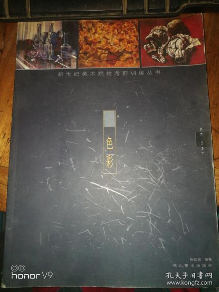 新世纪美术院校考前训练丛书.色彩