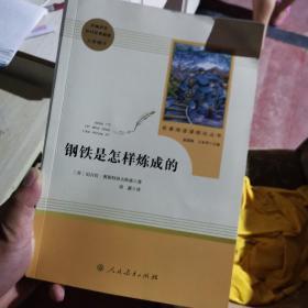 统编语文教材配套阅读 八年级下：钢铁是怎样炼成的/名著阅读课程化丛书